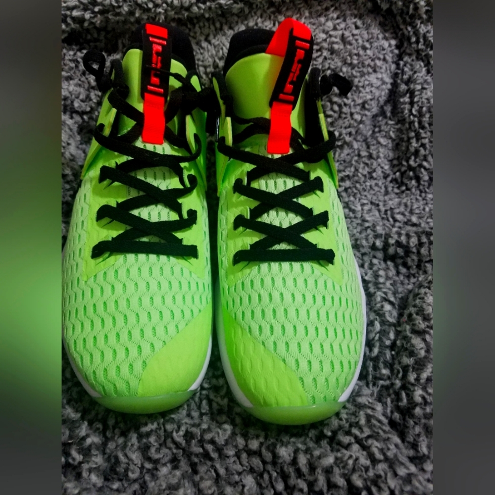 LeBron Witness V (grinch edition)